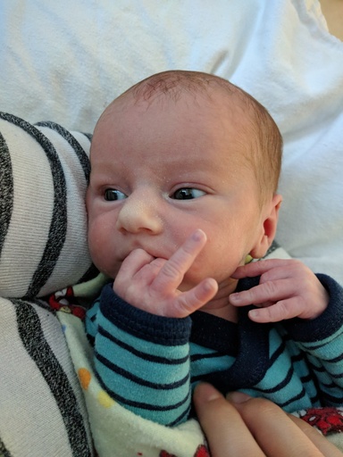 Louis-Philippe QUINTAL