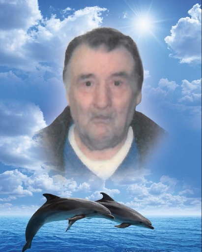 Alcide MICHEL