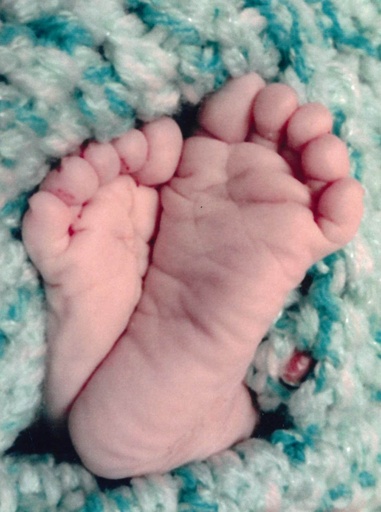 Félix GOSSELIN NANNI