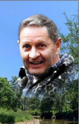 Yvon Viens