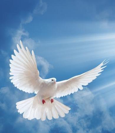 Kurt Eduardo Neuenschwander