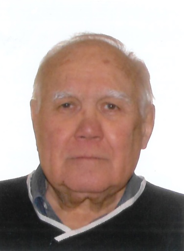 Luciano Maddalena